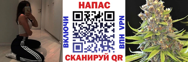 Бошки Шишки SATIVA & INDICA  маркетплейс как зайти  Фёдоровский 